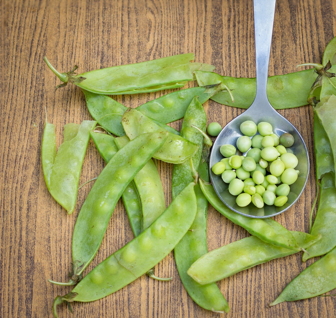 Best Tips for Growing Peas in Your Garden